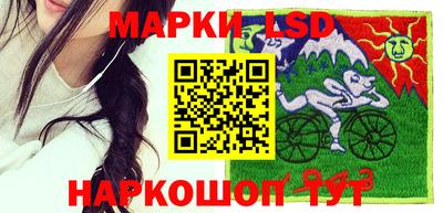 прущие крисы Камышлов
