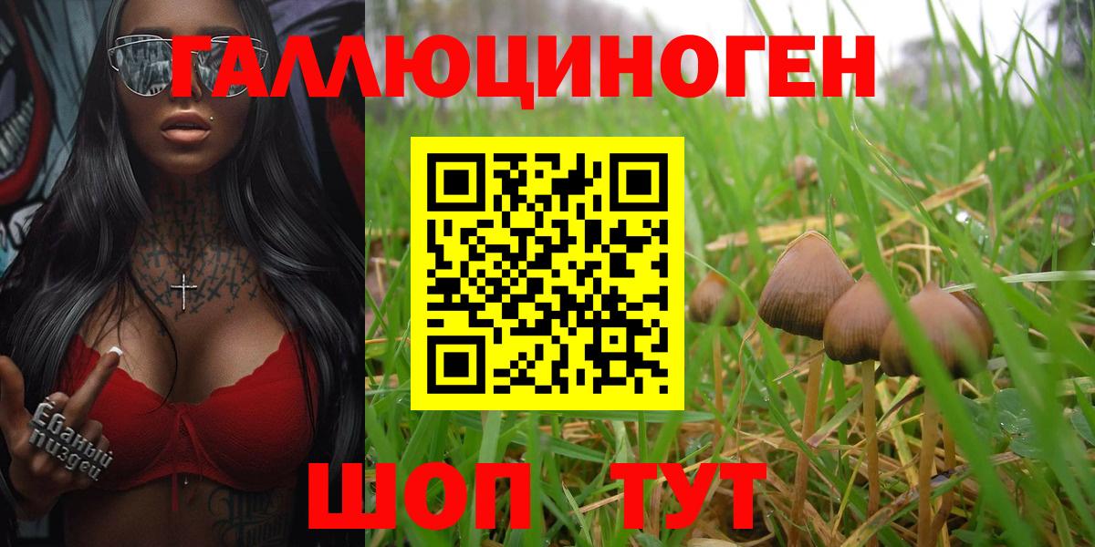 Галлюциногенные грибы Psilocybe  Псилоцибиновые грибы Magic Shrooms  Кушва  Вход с VPN 